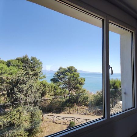 Loft A Sant Marti D'Empuriesアパートメント エクステリア 写真