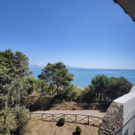 Loft A Sant Marti D'Empuriesアパートメント エクステリア 写真